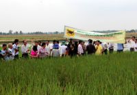 Học Thái Lan làm nông nghiệp: Nông dân cần sản xuất thông minh hơn