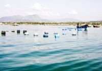 Chuyển đổi nghề cho người nuôi trồng thủy sản ở Cam Ranh (Khánh Hòa): Tìm hướng giải quyết