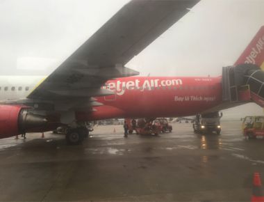 TÔM CÀNG XANH GIỐNG TOÀN ĐỰC CHỌN LỌC HÌNH THỂ