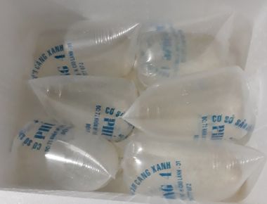 TÔM CÀNG XANH GIỐNG TOÀN ĐỰC CHỌN LỌC HÌNH THỂ