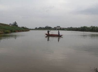 Tư vấn và hổ trợ kỹ thuật nuôi trồng thủy sản